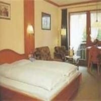 mD-Hotel Alpenrose2