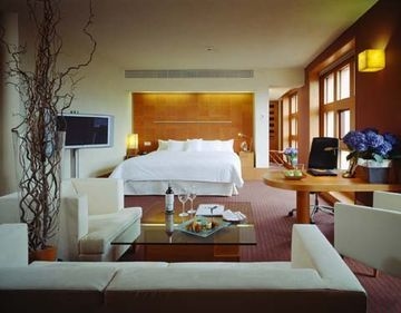 MELIA BILBAO2