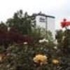 Best Western Plus Hotel Steinsgarten0