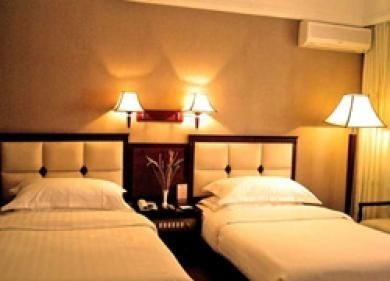 Vibes Sightseeing Hotel4