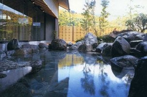 Kurobe View Hotel1