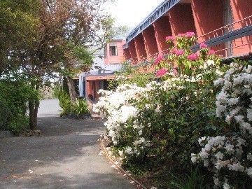 PACIFIC PARK DUNEDIN1