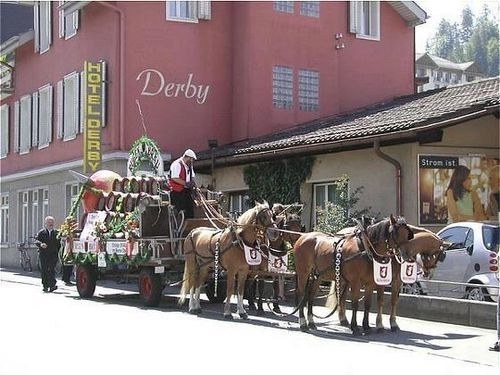 Hotel Derby Interlaken4