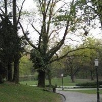 Maksimir Hotel3
