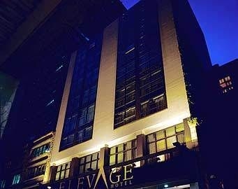 ELEVAGE1