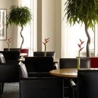 art'otel budapest1