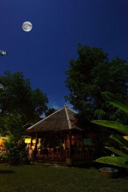 วิภา ทรอปิคัล รีสอร์ท (Vipa Tropical Resort)1