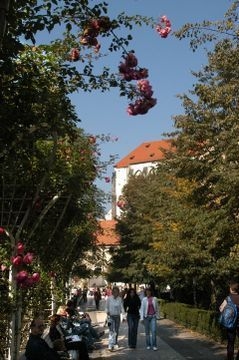 โรงแรมเอเดรียปาร์ก (Adria Hotel Prague)3
