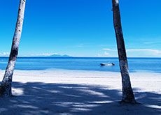 Anda White Beach Resort3