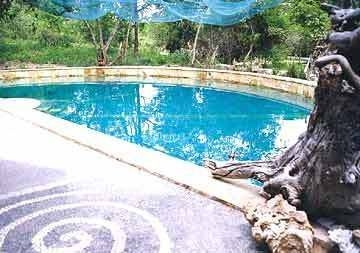 Waka Shorea Resort3