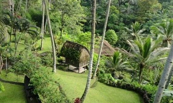 The Kampung Resort Ubud0