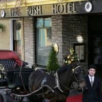 Bush Hotel3