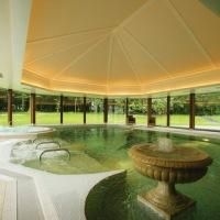 Mount Falcon Hotel4