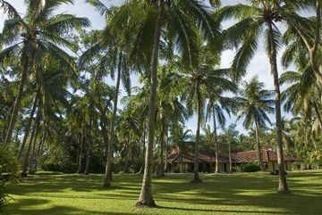 The Farm At San Benito0