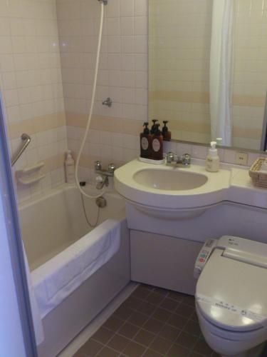 Tokyo Dai-ichi Hotel Matsuyama3