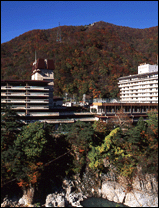 Kinugawa Green Palace0
