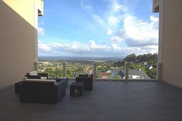 OS OLIVOS4