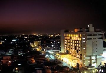 GOLDEN TULIP1