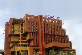 The Orchid0