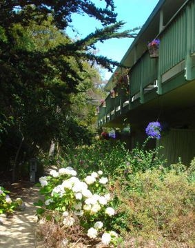 CARMEL RIVER INN2