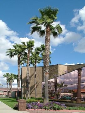 Park Inn by Radisson3