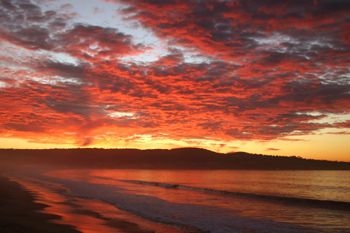 Best Western Plus Beach Resort3