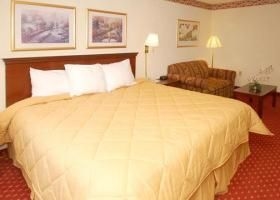 COMFORT INN & SUITES1