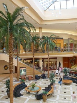 DOUBLETREE BY HILTON TAMPA AIR4