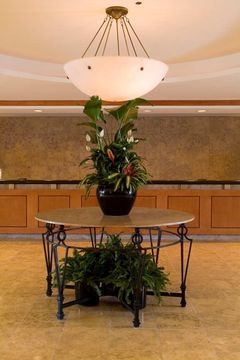 DOUBLETREE BY HILTON TAMPA AIR1