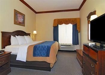 COMFORT INN & SUITES STATESBORO3
