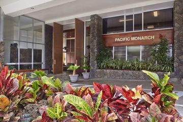 Pacific Monarch0
