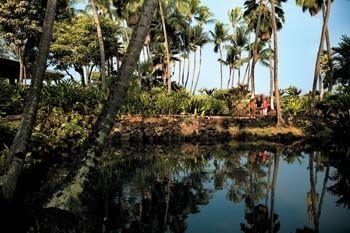 Keauhou Beach Resort2