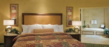 Embassy Suites St. Louis / St. Charles4