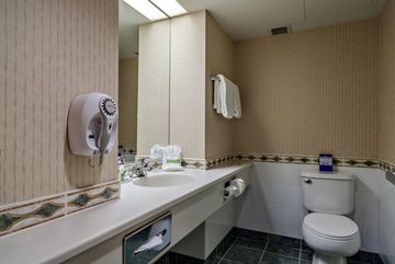 BEST WESTERN PLUS SUITES DOWNT4