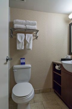 BEST WESTERN PLUS SUITES DOWNT1