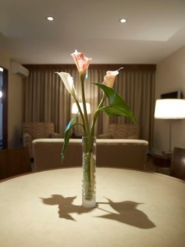 International Hotel Suites1