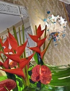 Hotel Montecarlo4