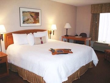 HAMPTON INN NEWARK-AIRPORT NJ1