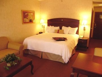Hampton Inn Owego3
