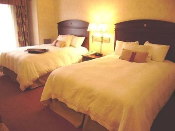 Hampton Inn Owego4