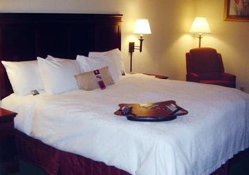 HAMPTON INN MANHEIM4