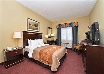 COMFORT INN NEW STANTON4