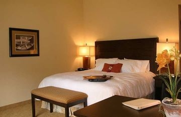 HAMPTON INN - SUITES AUSTIN CE3