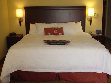 HAMPTON INN - SUITES GAINESVIL2