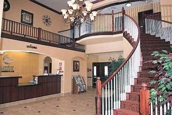 COMFORT INN & SUITES1