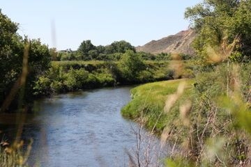 RANCH UCROSS4