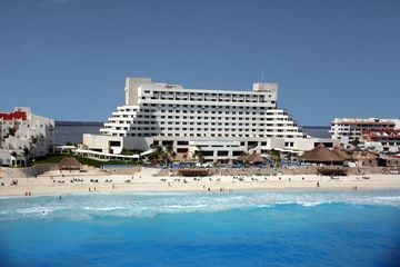 Royal Solaris0