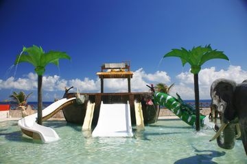 Royal Solaris4