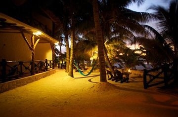 La Palapa0