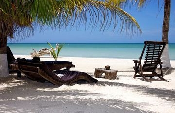 La Palapa1